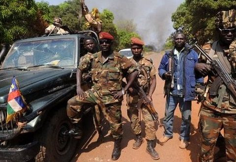 Elephant Advocacy League - rebels in the Central African Republic