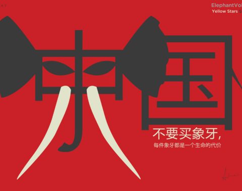 EAL - AsherJay & ElephantVoices Dont Buy Ivory