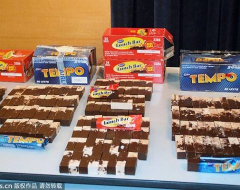 Elephant Action League - Chocolate-shaped ivory seized in Macao (China) - Ph Image China
