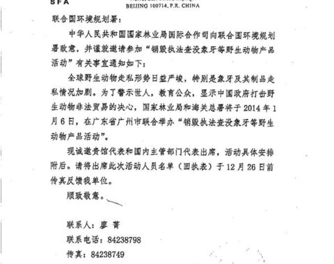 Elephant Action League - China to burn ivory on the 6th of January 2014