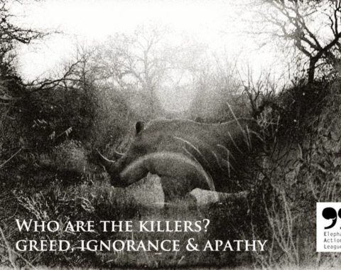 Elephant Action League - World Rhino Day