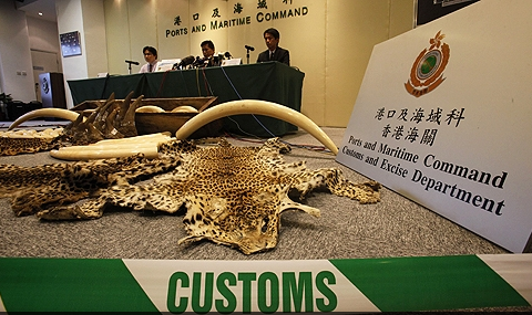 Elephant Action League - Hong Kong ivory and wildlife products seized