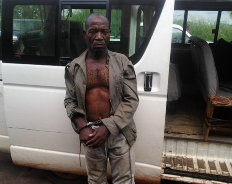 Elephant Action League - Ivory trafficker arrested in Gabon