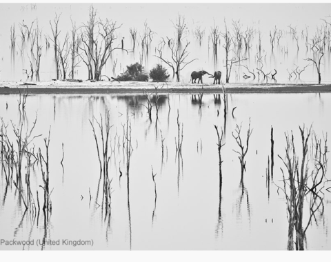 Lake Kariba, Zambia-Zimbabwe - by Richard Packwood