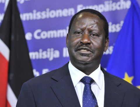 Elephant Advocacy League (EAL) - Kenya Prime Minister Odinga (AFP/File, Georges Gobet)