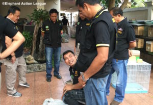 Operation Wildlife EAL Thai 03