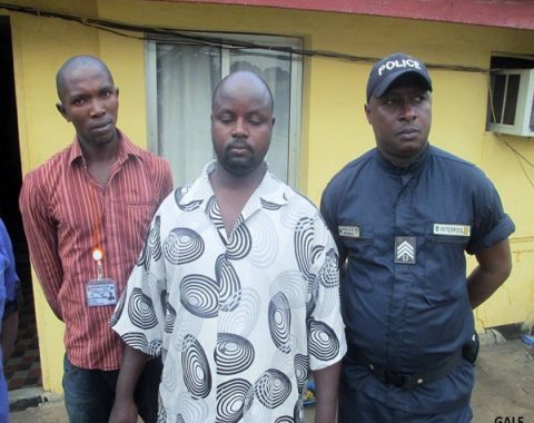 Elephant Action League - Wildlife Trafficker Ousmane Diallo Arrested in Guinea
