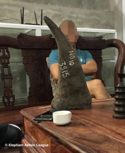 Rhino trafficker 001
