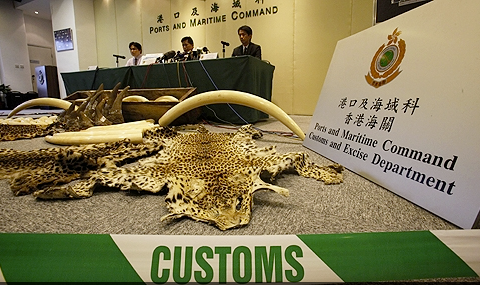 Elephant Action League - Shipment of illegal wildlife seized in Hong Kong - Ph Reuters