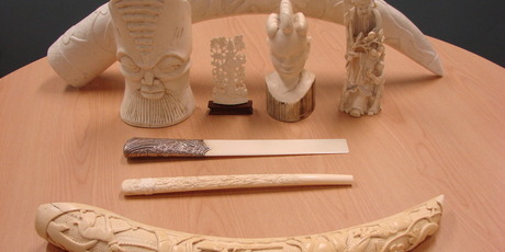 EAL - Ivory as a good investment? Bad news for elephants